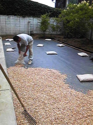 防草シート敷設後砂利敷き中